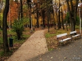 Imagini Parcul Municipal | Galerie Foto Baia Mare